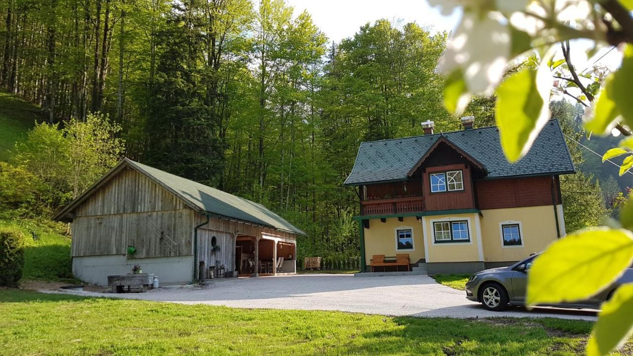 فيلا Ferienhaus Schlossblick Landl  المظهر الخارجي الصورة